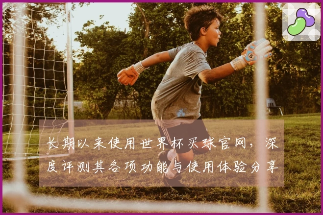 长期以来使用世界杯买球官网，深度评测其各项功能与使用体验分享