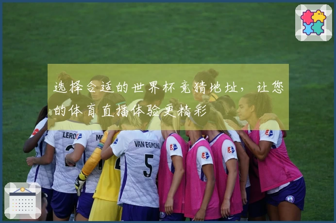 选择合适的世界杯竞猜地址，让您的体育直播体验更精彩