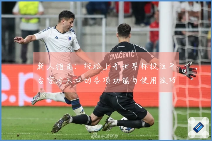 新人指南：轻松上手世界杯投注平台官方入口的各项功能与使用技巧