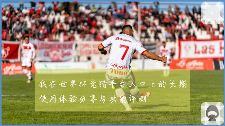 我在世界杯竞猜平台入口上的长期使用体验分享与功能评测