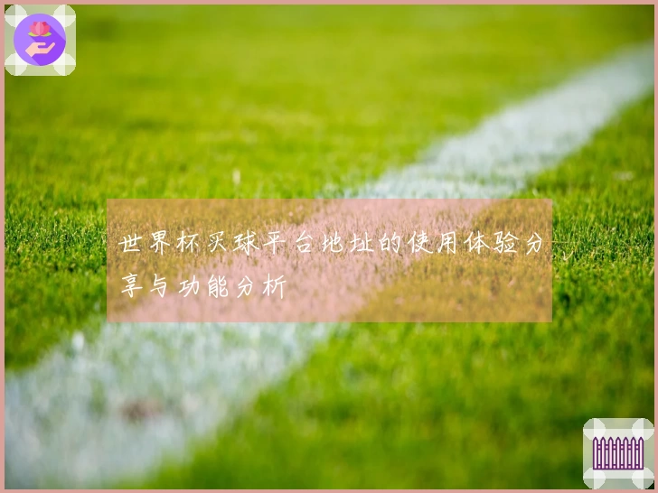 世界杯买球平台地址的使用体验分享与功能分析