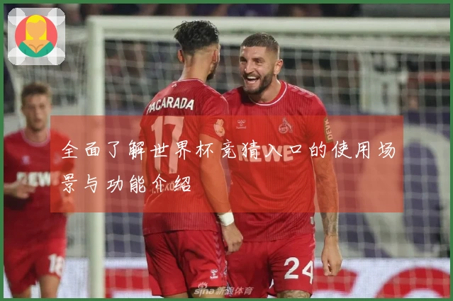 全面了解世界杯竞猜入口的使用场景与功能介绍