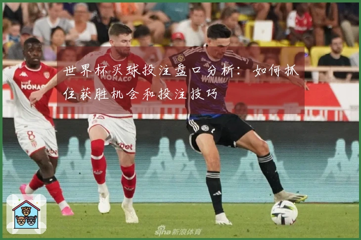 世界杯买球投注盘口分析：如何抓住获胜机会和投注技巧