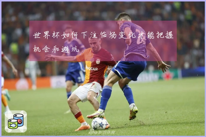 世界杯如何下注临场变化才能把握机会和避坑