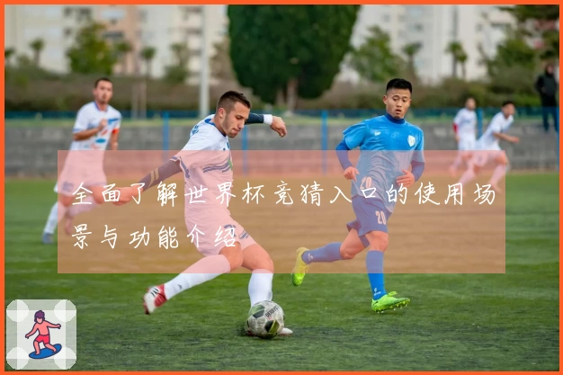 全面了解世界杯竞猜入口的使用场景与功能介绍