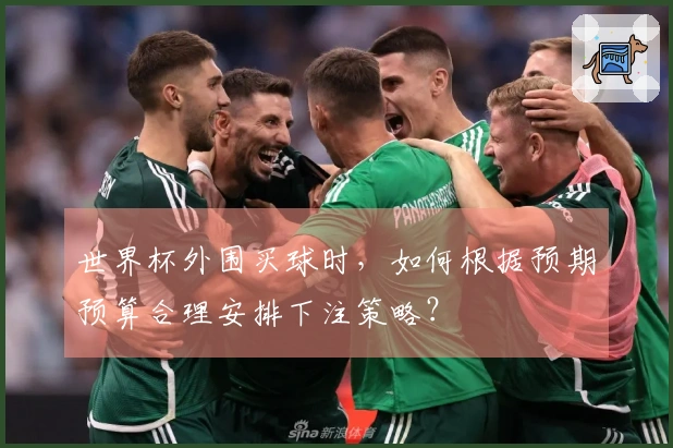 世界杯外围买球时，如何根据预期预算合理安排下注策略？