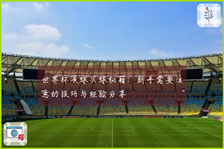 世界杯滚球买球秘籍：新手需要注意的技巧与经验分享