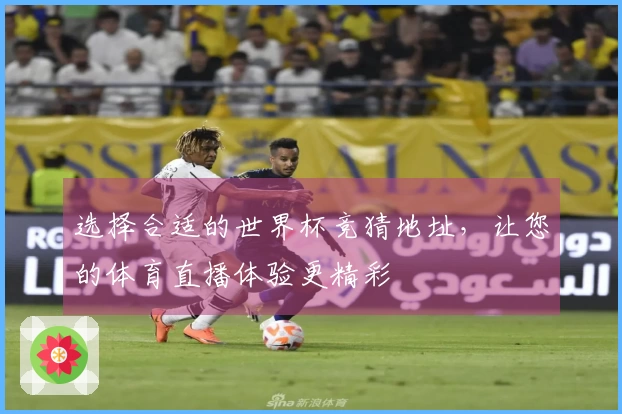 选择合适的世界杯竞猜地址，让您的体育直播体验更精彩