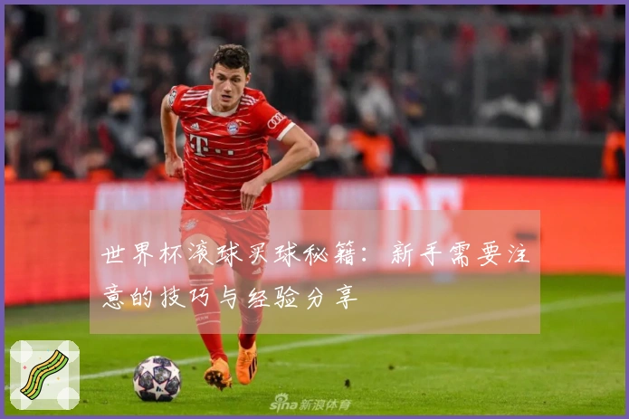 世界杯滚球买球秘籍：新手需要注意的技巧与经验分享