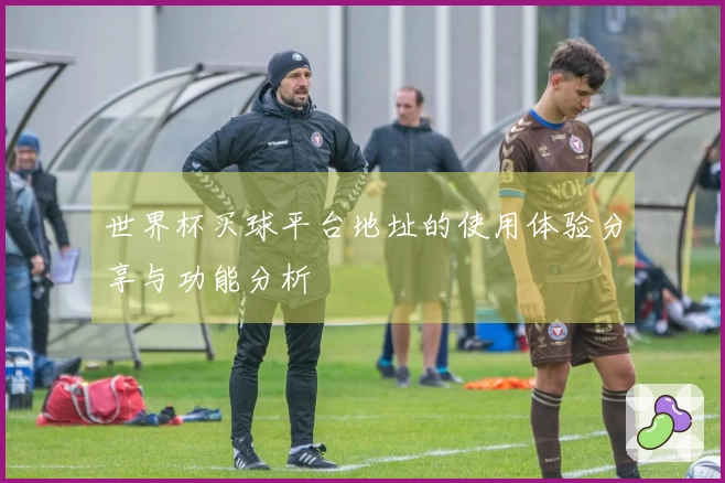世界杯买球平台地址的使用体验分享与功能分析