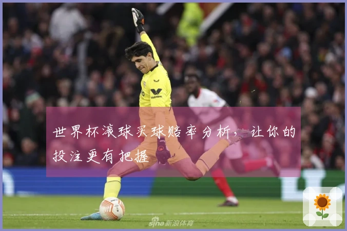 世界杯滚球买球赔率分析，让你的投注更有把握